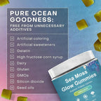 Sea Moss Nutrient Gummies